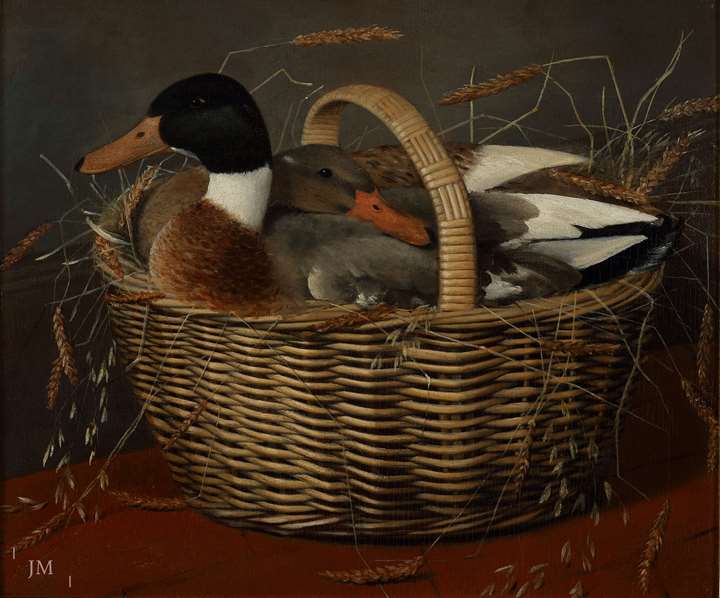 Domestic ducks in a basket